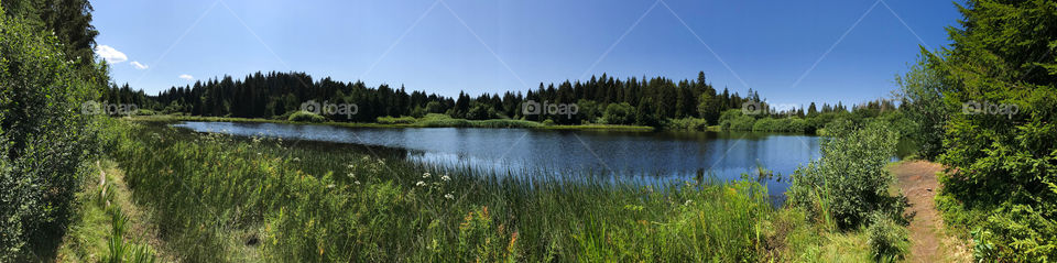 Etang des royes 