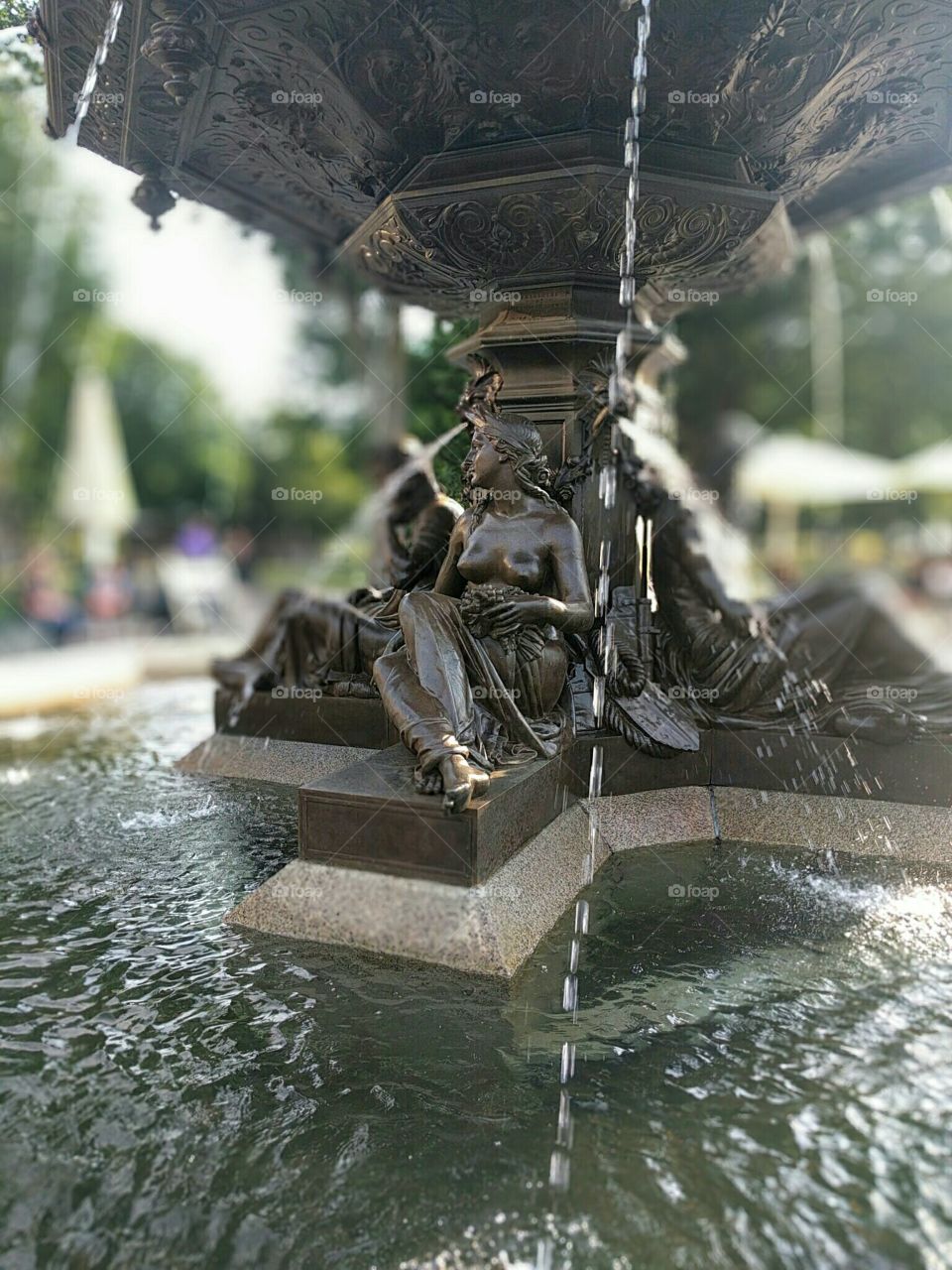 The Fountain