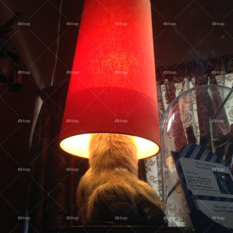 Lamp. Custom lamp