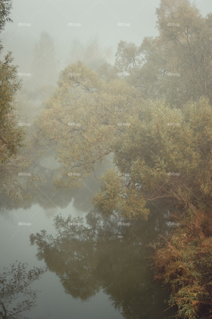 Autumn misty landscape at early morning 