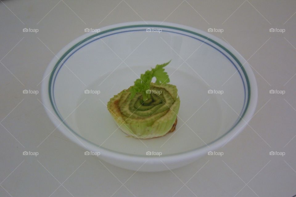 Celery Regrow