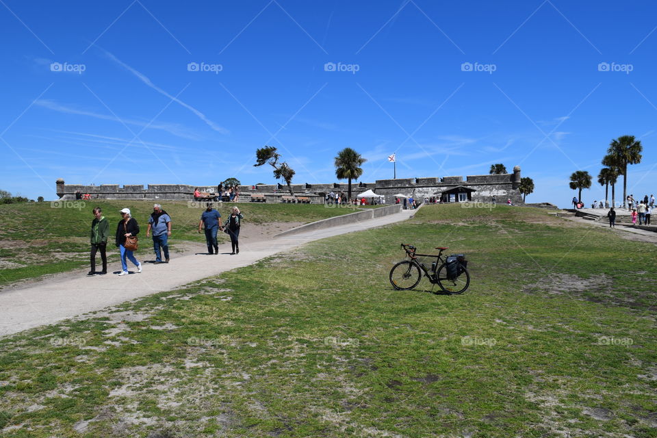 Landscape, Road, Tree, Travel, Grass