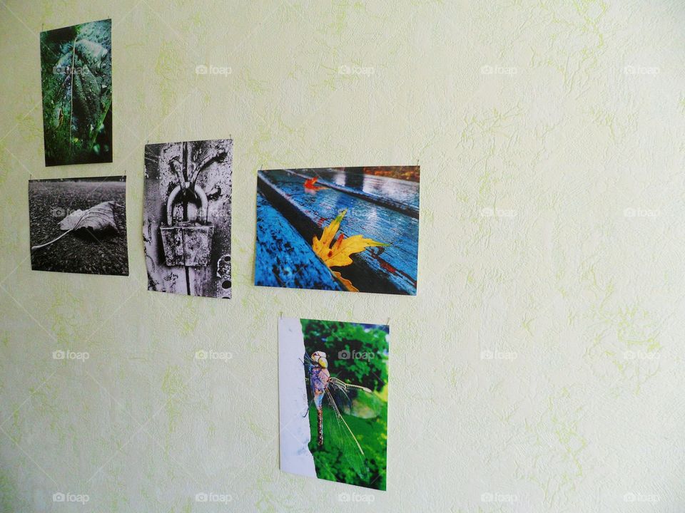 pictures on the wall