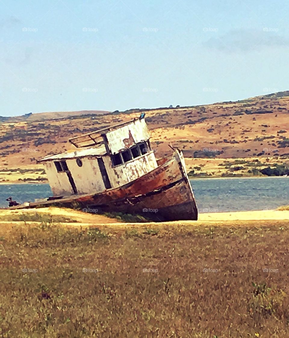 Fortunately, the captivating Tomales Shipwreck in Inverness California was saved by admiring photographers from being scrapped so all can continue to enjoy her charm.