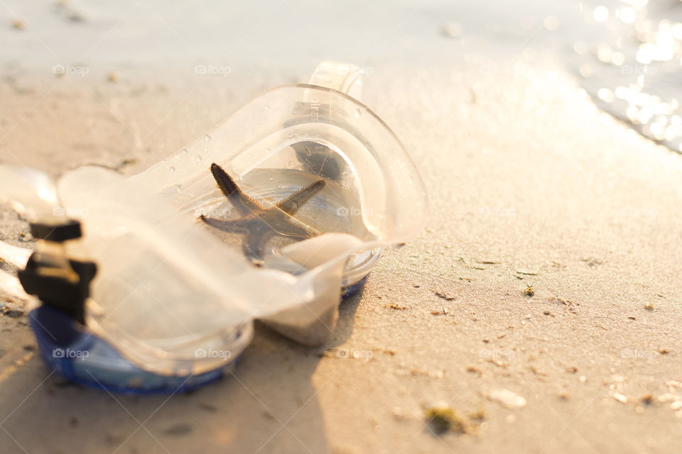 star fish in mask. star fish in diving mask on the sandy beach