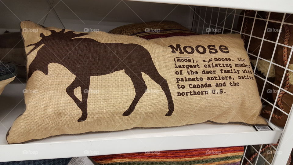 moose pillow