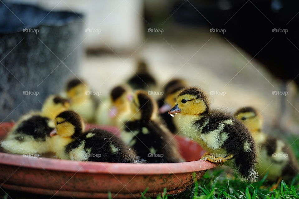 pot baby water cold by munda.net