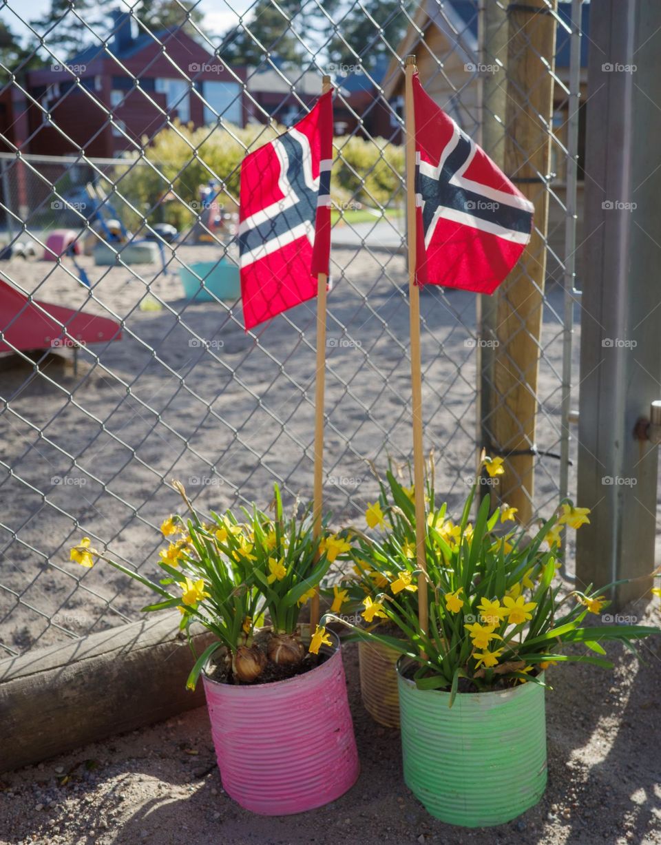 Colorful green flowers and red Flags!! 
norwegian Flags  red ,White and blue . 
happy norwegian day !!
