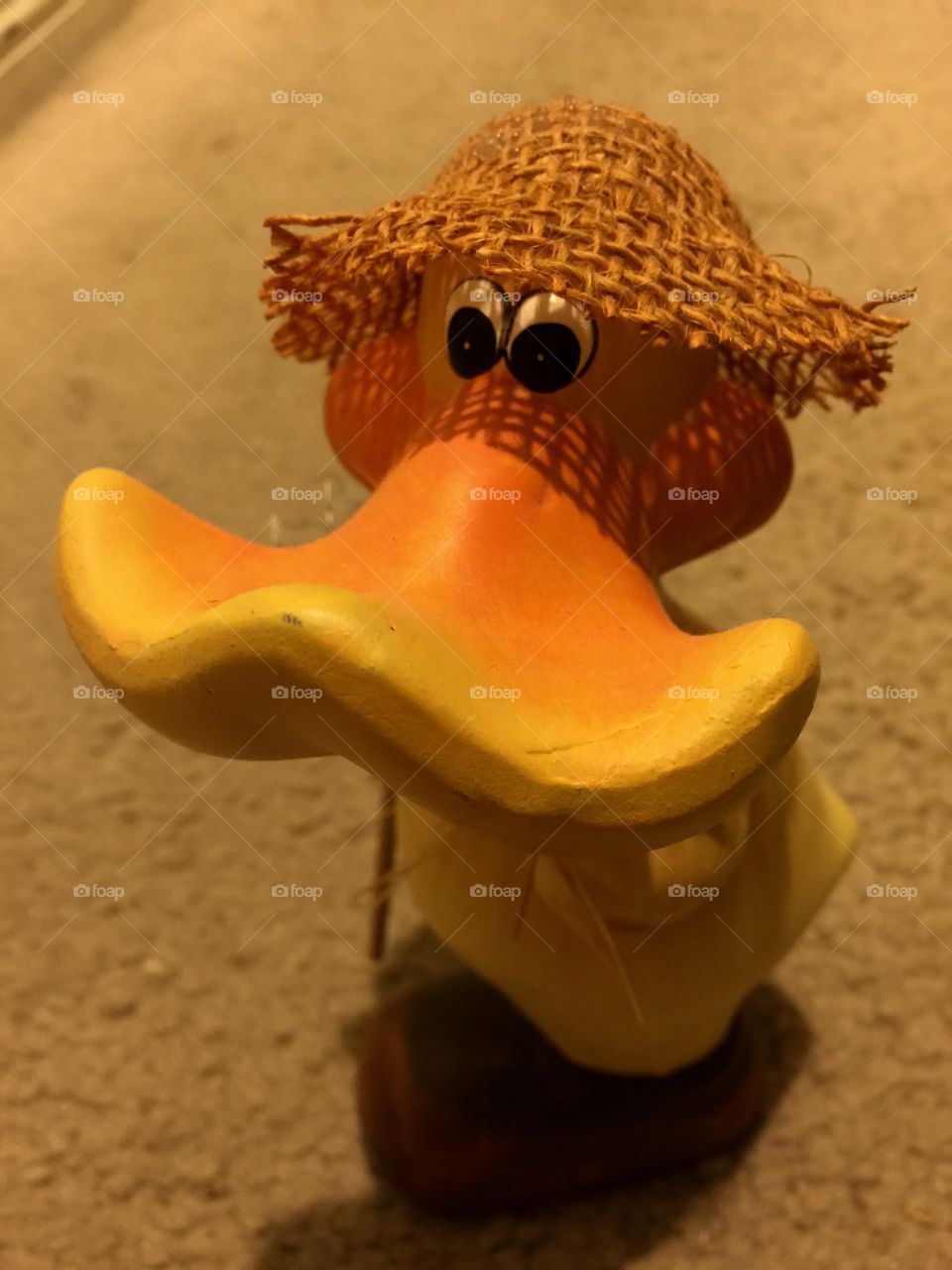 My duck