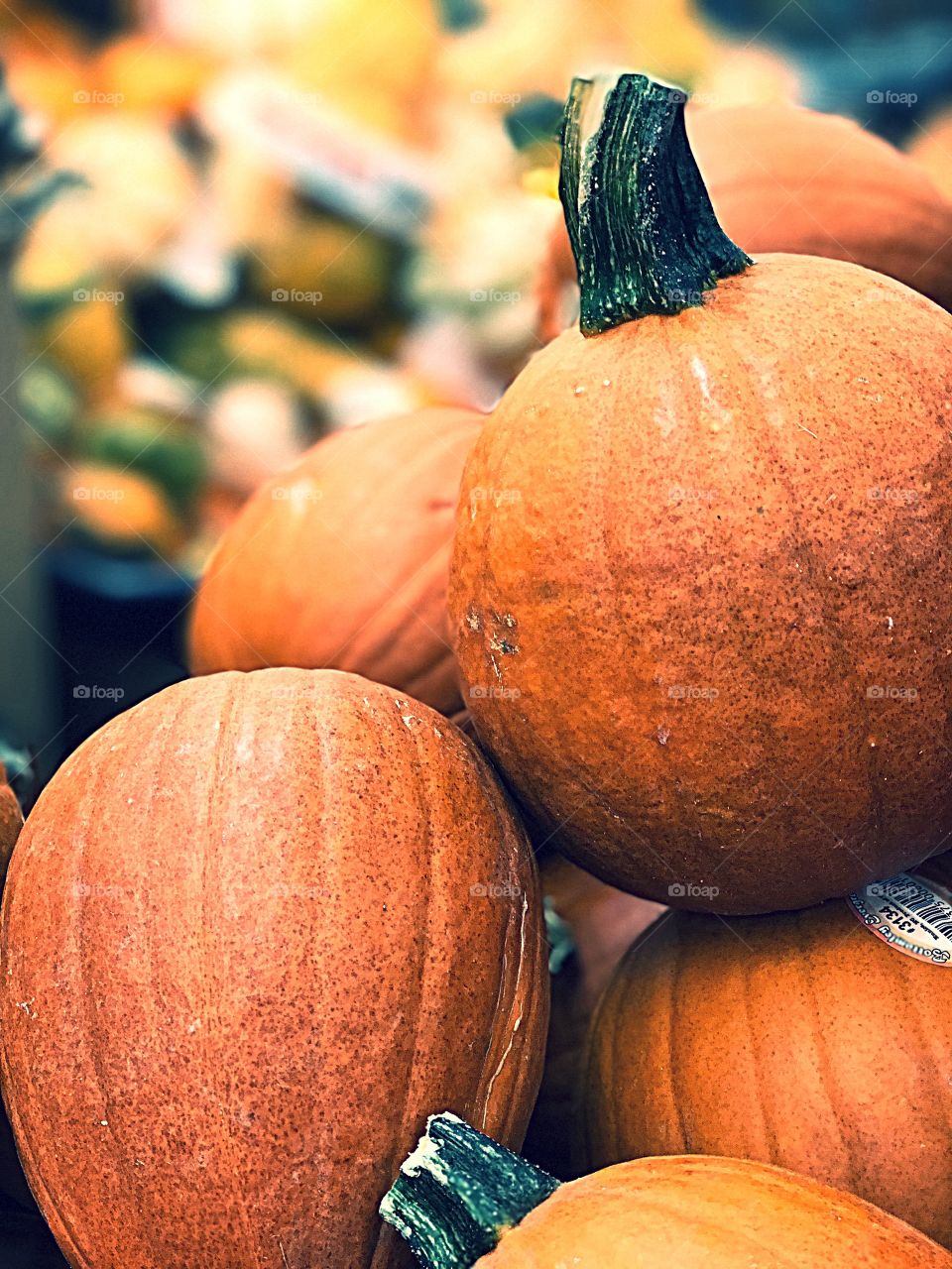 #Thanksgiving #october #holloween #pumpkin #trending 