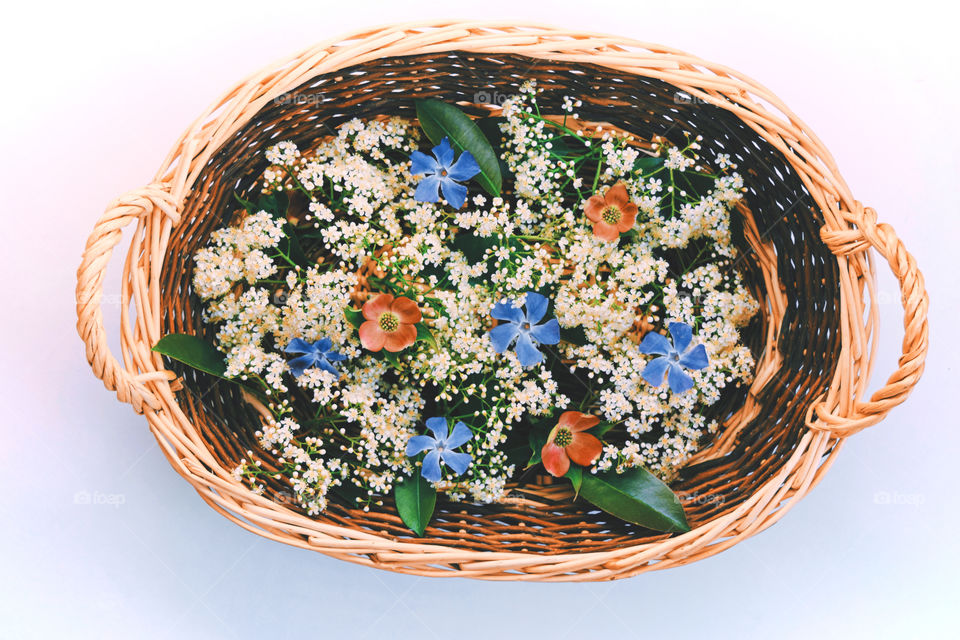 Food, No Person, Desktop, Traditional, Bowl