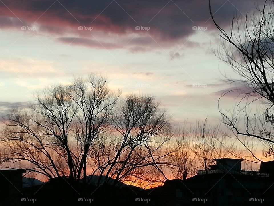 A nice view at the end of the day