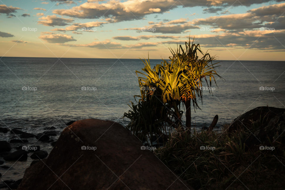 Let the vacation begin 