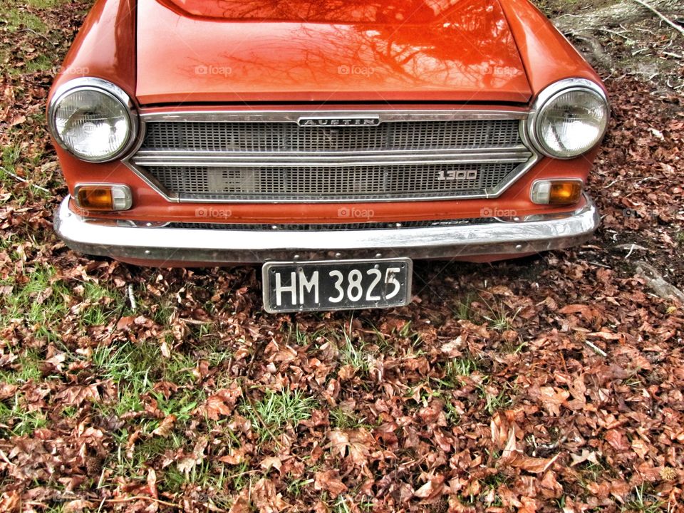 Austin classic car orange in fall leaves at park for picnic