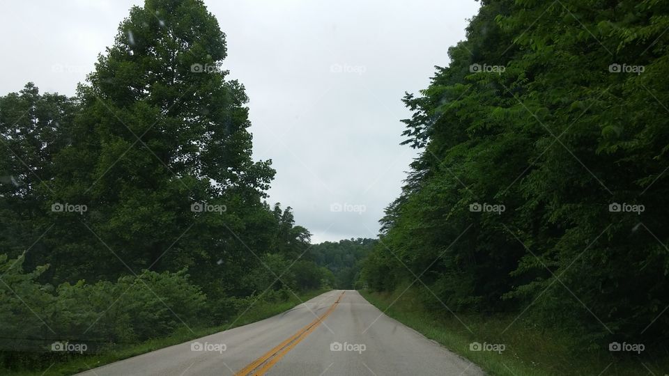 Road, No Person, Landscape, Tree, Asphalt