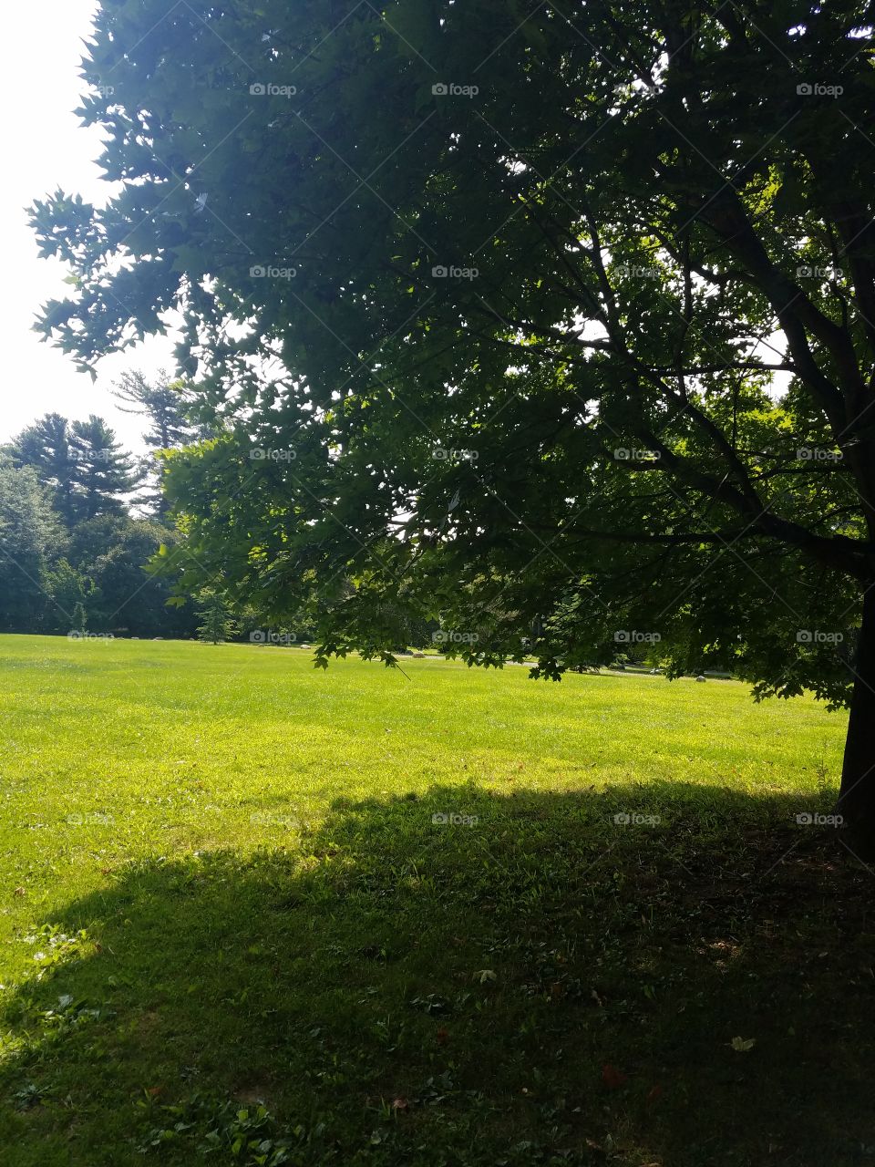 Planting Fields Arboretum State Park, Oyster Bay, NY - August 2017 - Taken on Android Phone - Galaxy S7 - Exploring the Grounds on a Lazy Sunday near the end of Summer