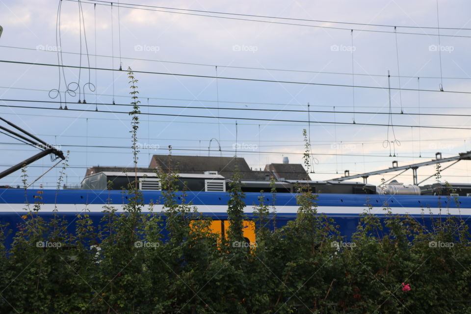Blue and yellow train