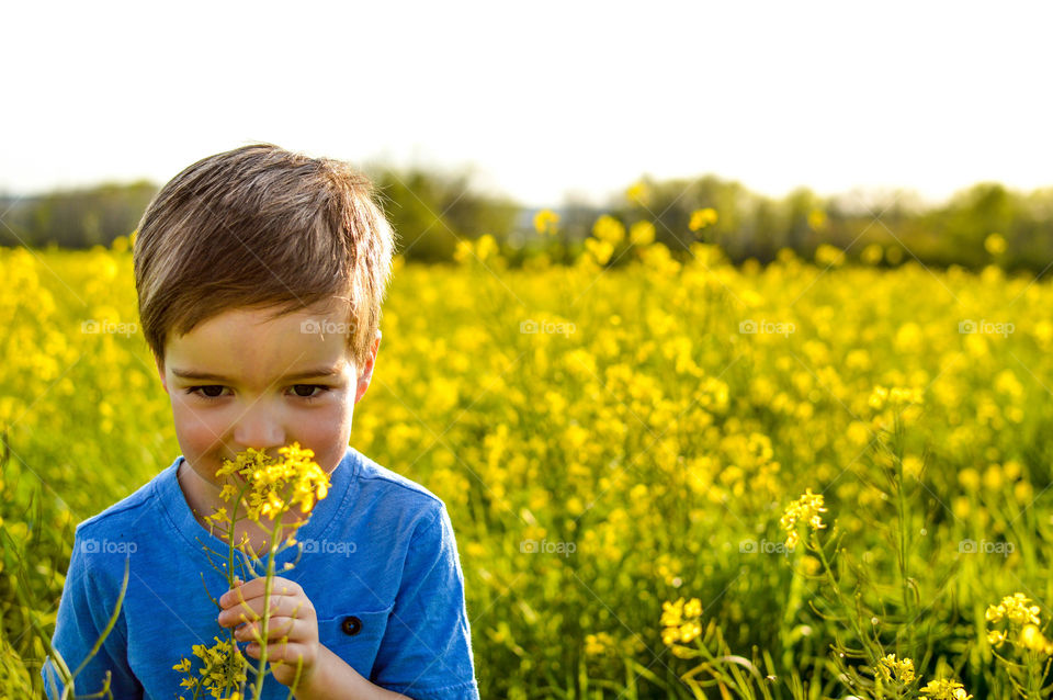 Young boy in a field of flowers and smelling a bunch of flowers he is holding