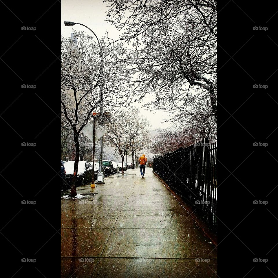 Manhattan NY. First day of spring 2015