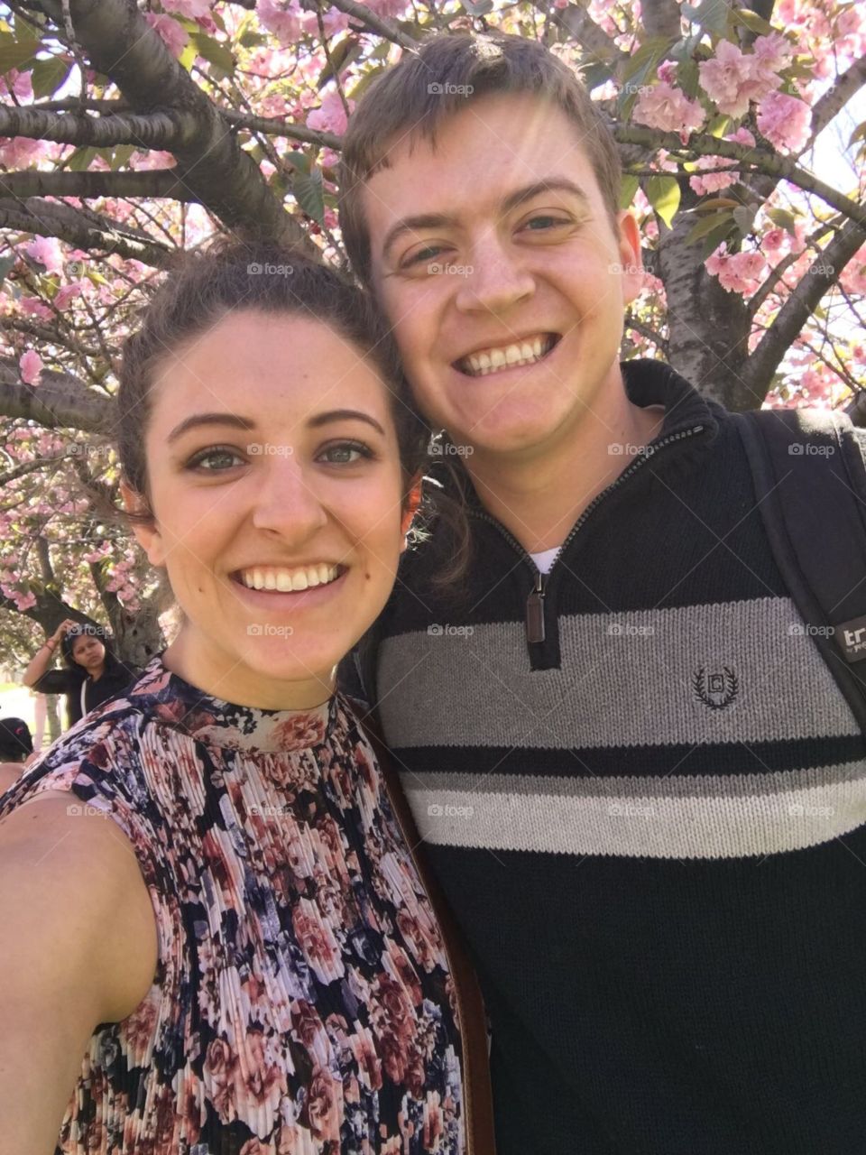 Washington DC in spring 