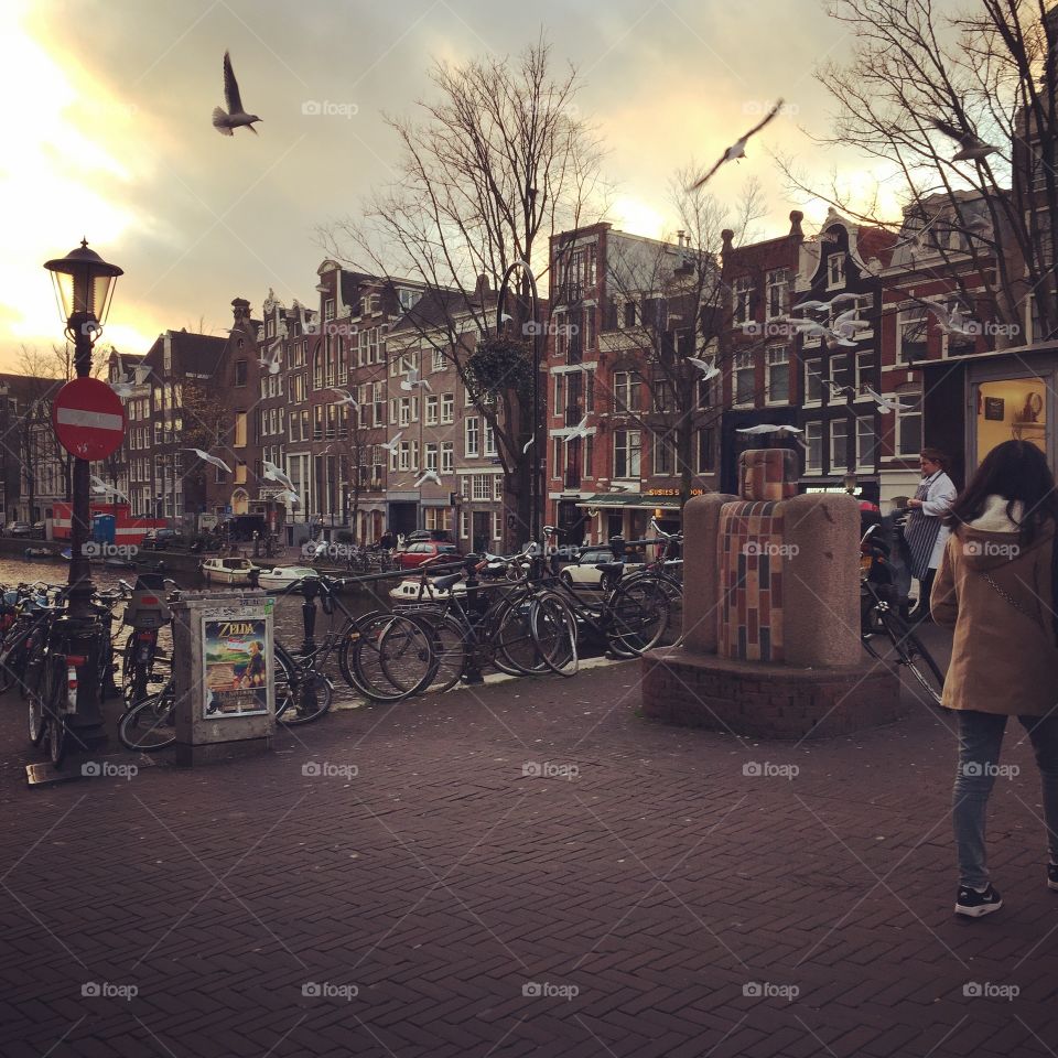 Amsterdam 