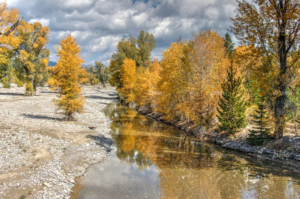 Reflections of Fall