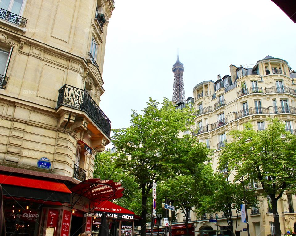 The 7th Arrondissement & Tour d'Eiffel