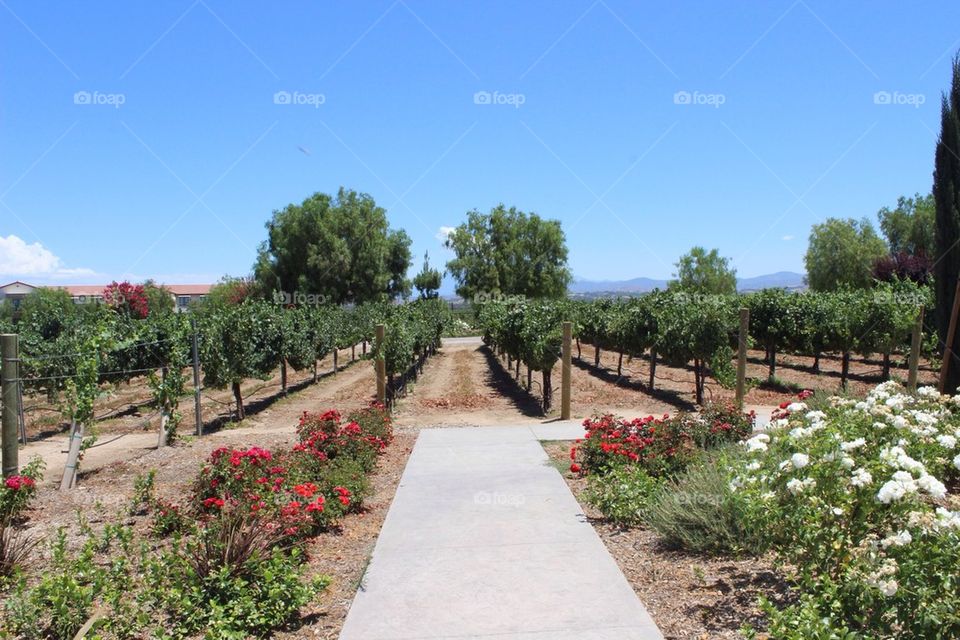 Temecula, California