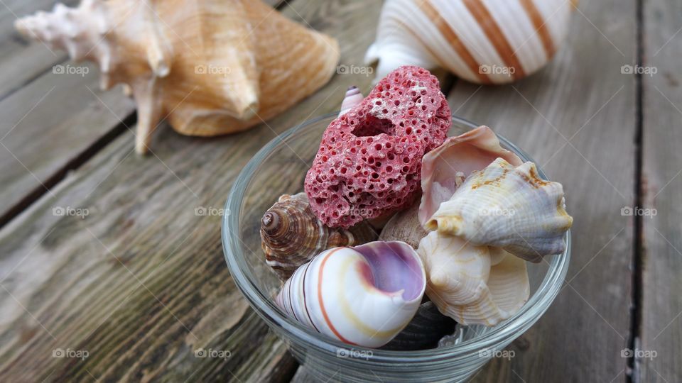 closeup seashells in cup on wooden table with conch
