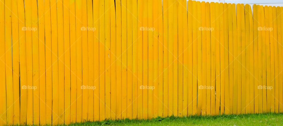 Follow the yellow fence!. A painted yellow fence. 