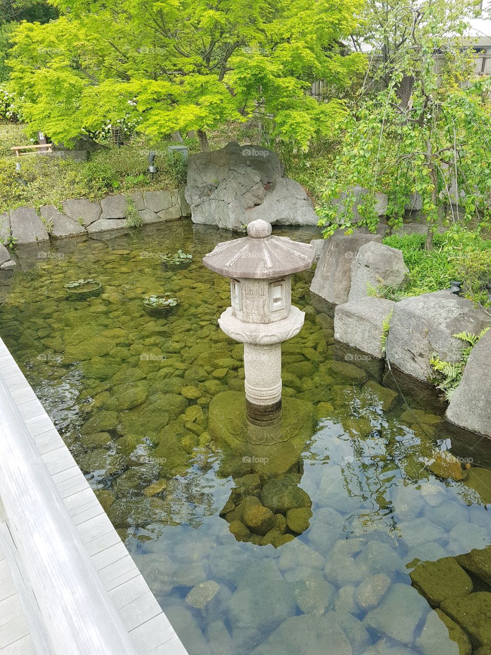 A pond at Tokugawa garden