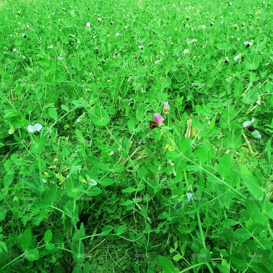 How did you all like this photo?