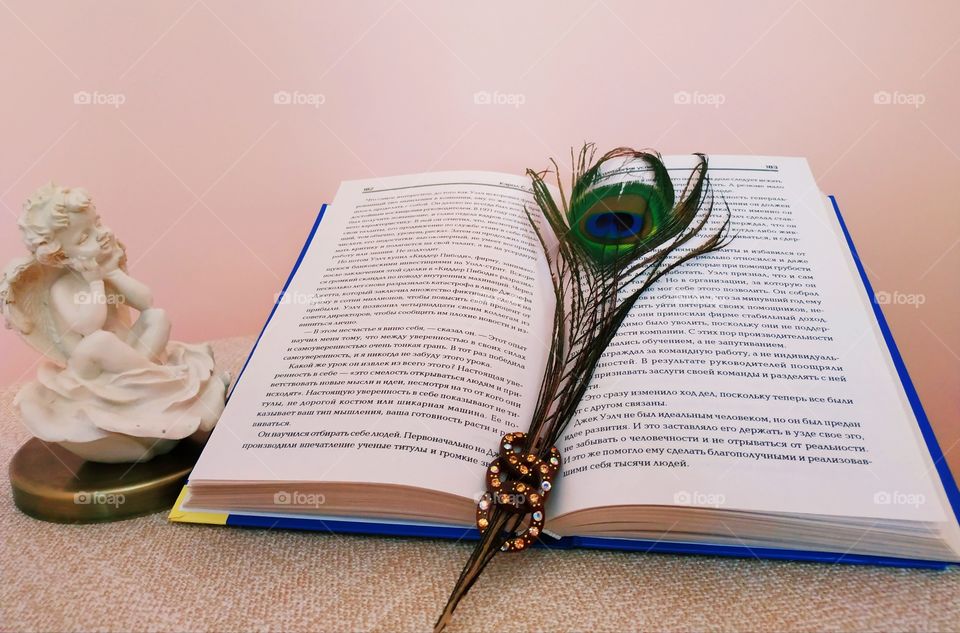 Romantic reading#peacock#angel#warm light#book