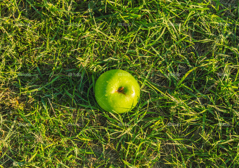 green apple on the green grass too much green