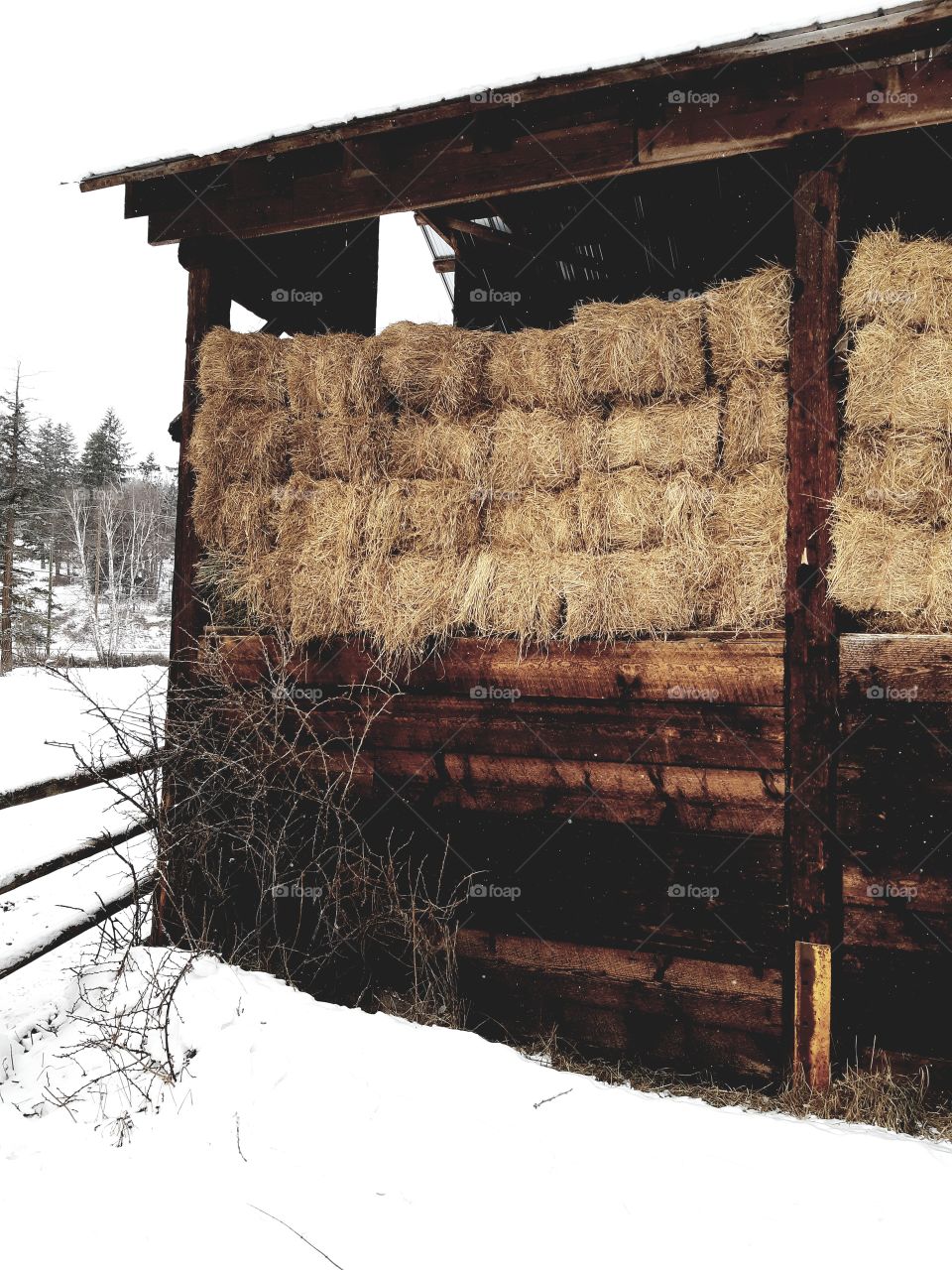 hay shed