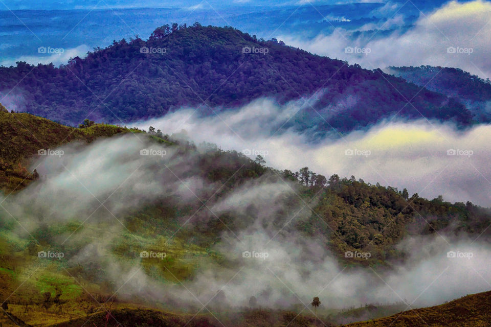 Foggy morning at Tahura Sultan Adam, South Borneo, Indonesia.