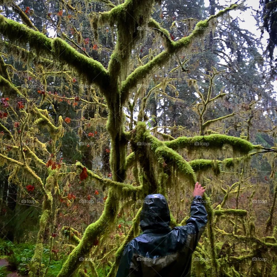 Reaching to the tree gods 