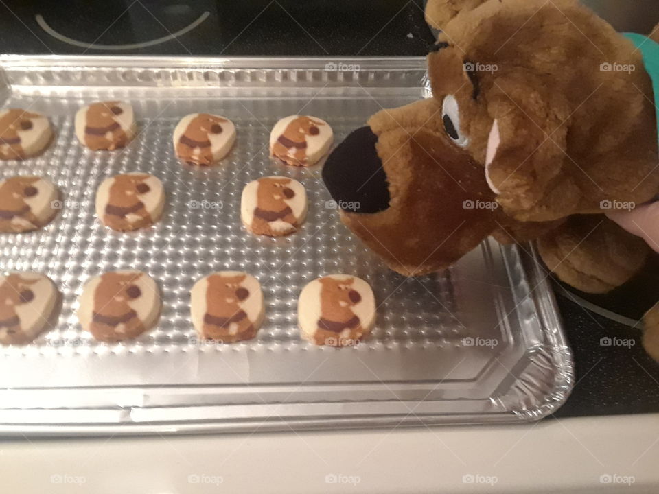 Scooby Doo eating his cookies