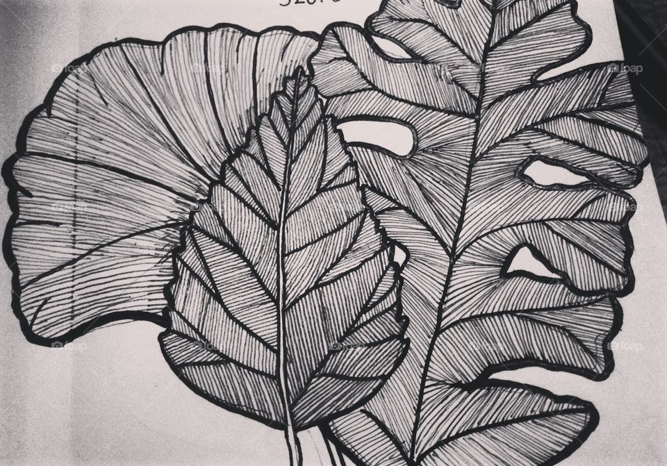 Leafy things