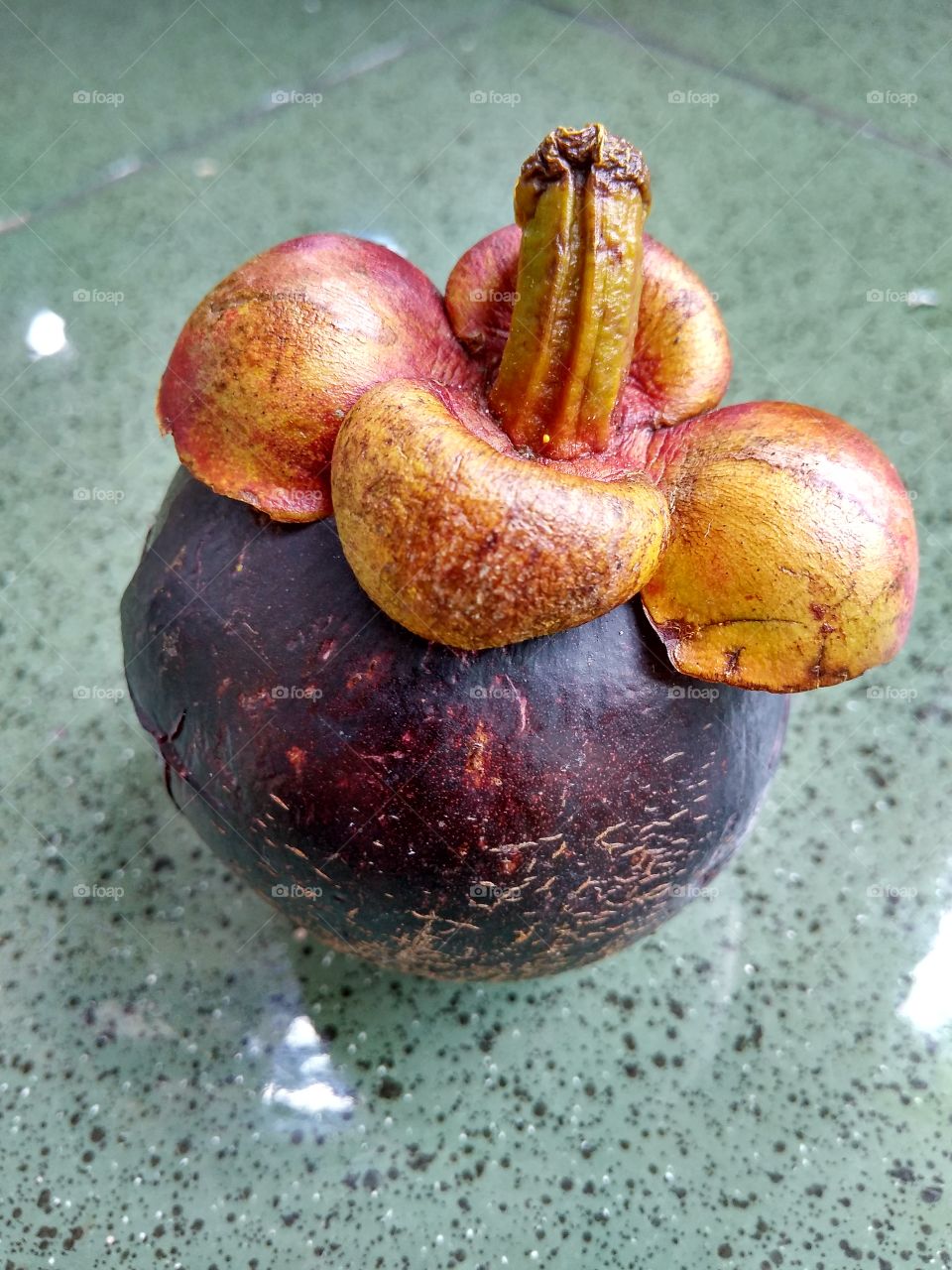 Mangosteen