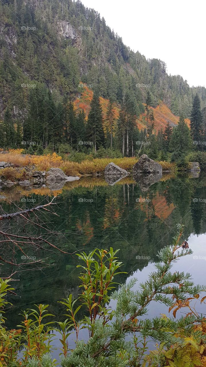 #Mirror and reflection,
Ones again I took this picture from my Samsung galaxy S6 Heather Lake, Mountain loop Hwy, October 2017,
 Mirror mirror on the wall what is the most beautiful photos  in the world 
" it my photo" 
The season I like most is spring and Autumn it reminds me about time and things is changing also it my photographer is approved it seemed like I love to take photo everywhere everything, every time, every detail, this's what I like to do and happy to show all of my pictures as much as I can.