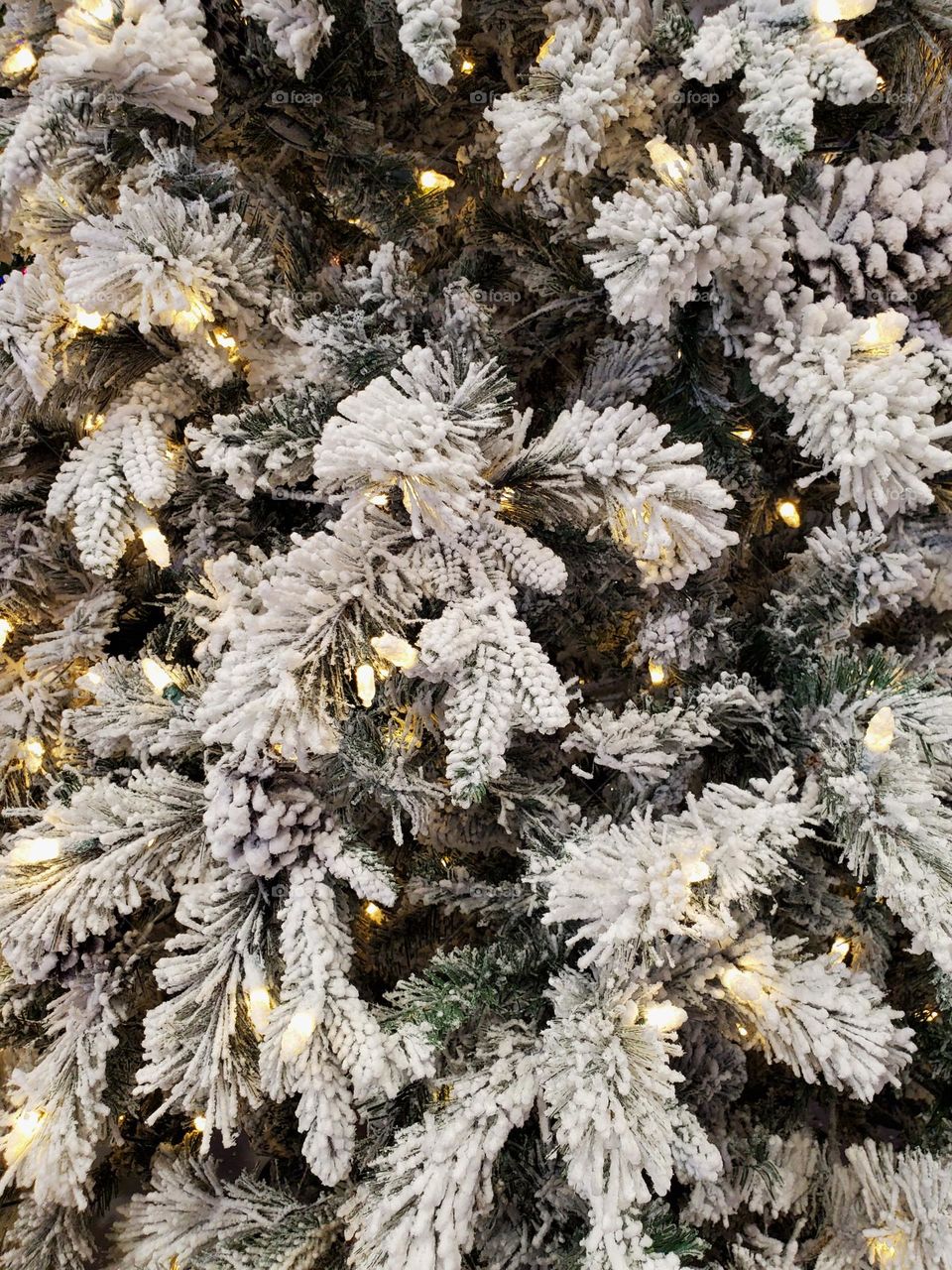 Christmas Tree of Snow and Lights