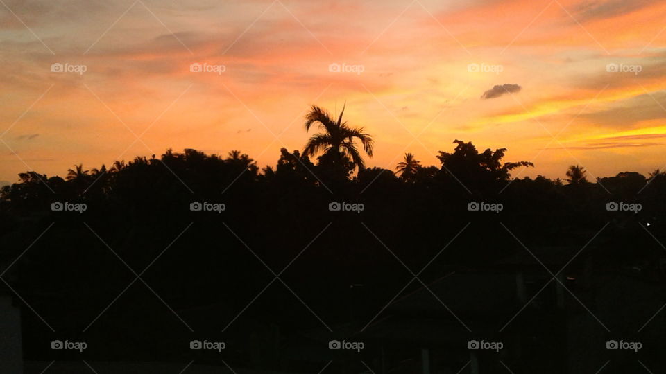 sky and clouds disng