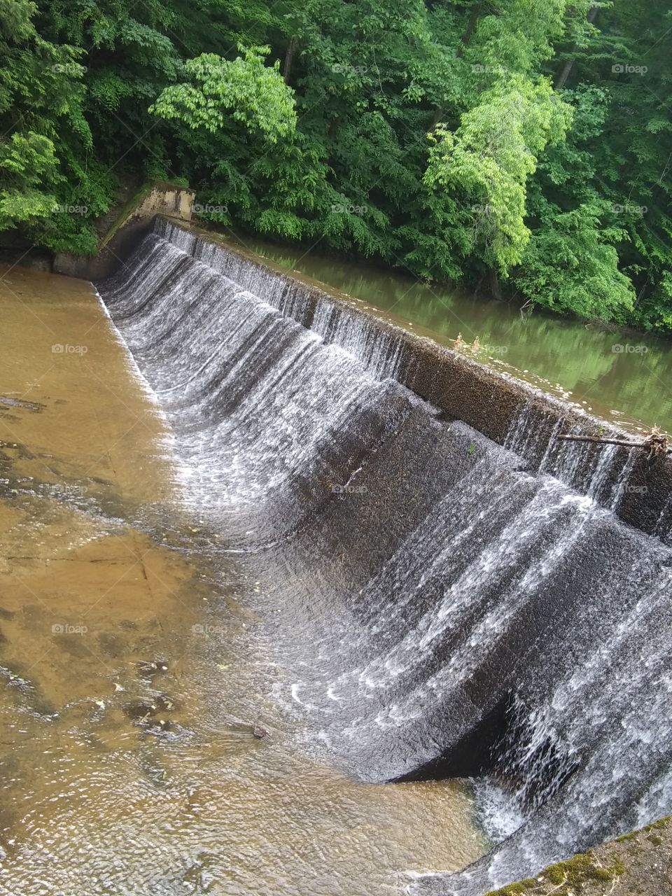 Kanawha State Forest