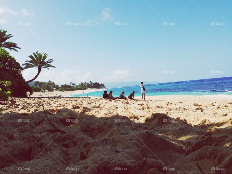 Beach Bums