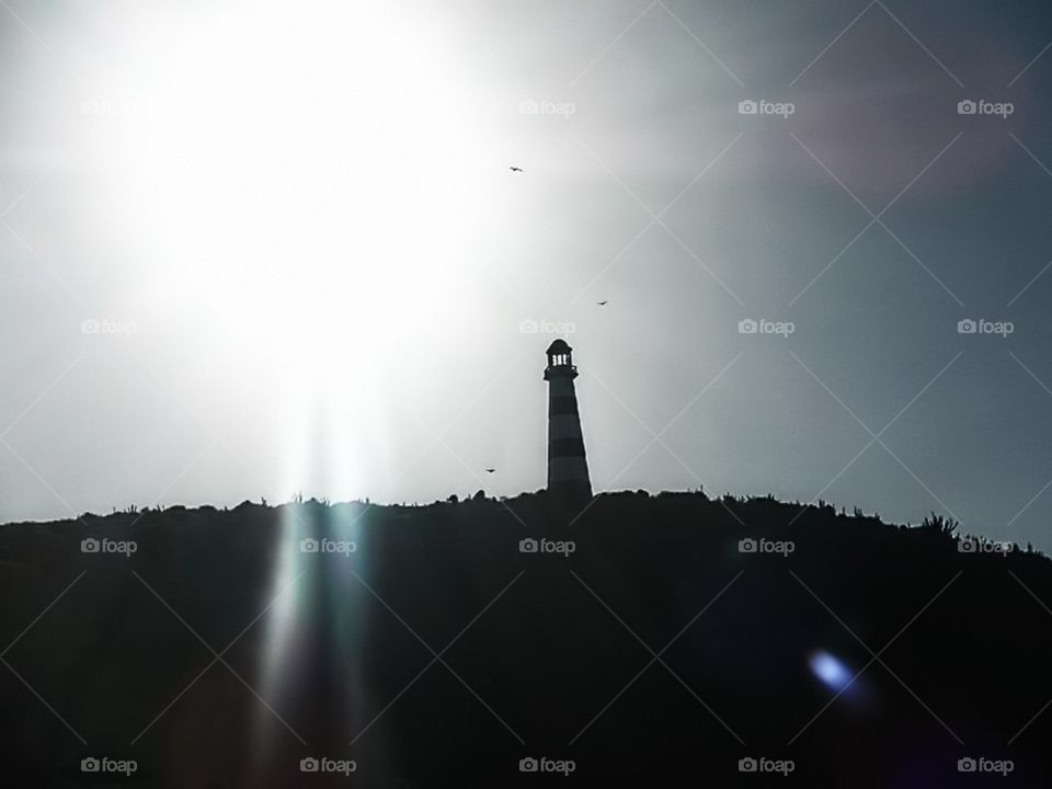 sun birds contrast lighthouse by EthaNox