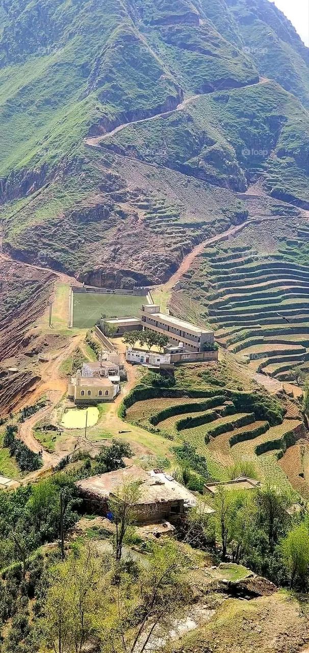 A very beautiful picture, and there is no better picture than it. There is no better picture of green herbs and colorful, red and white roses than it. Glory be to God, the natural and picturesque view, and there is no more