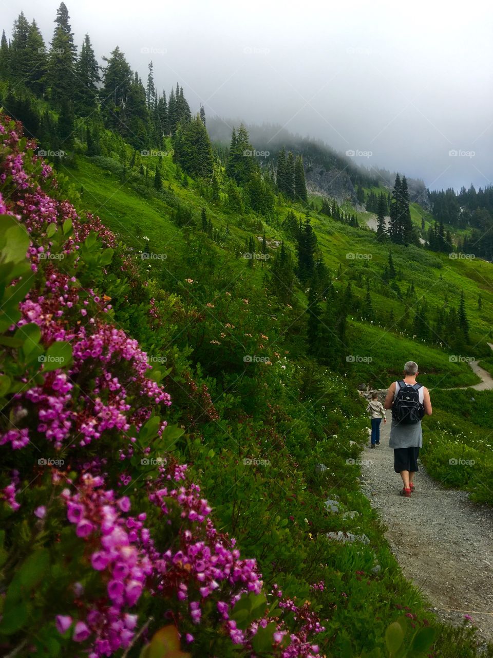 Mt Rainier wildlower hike