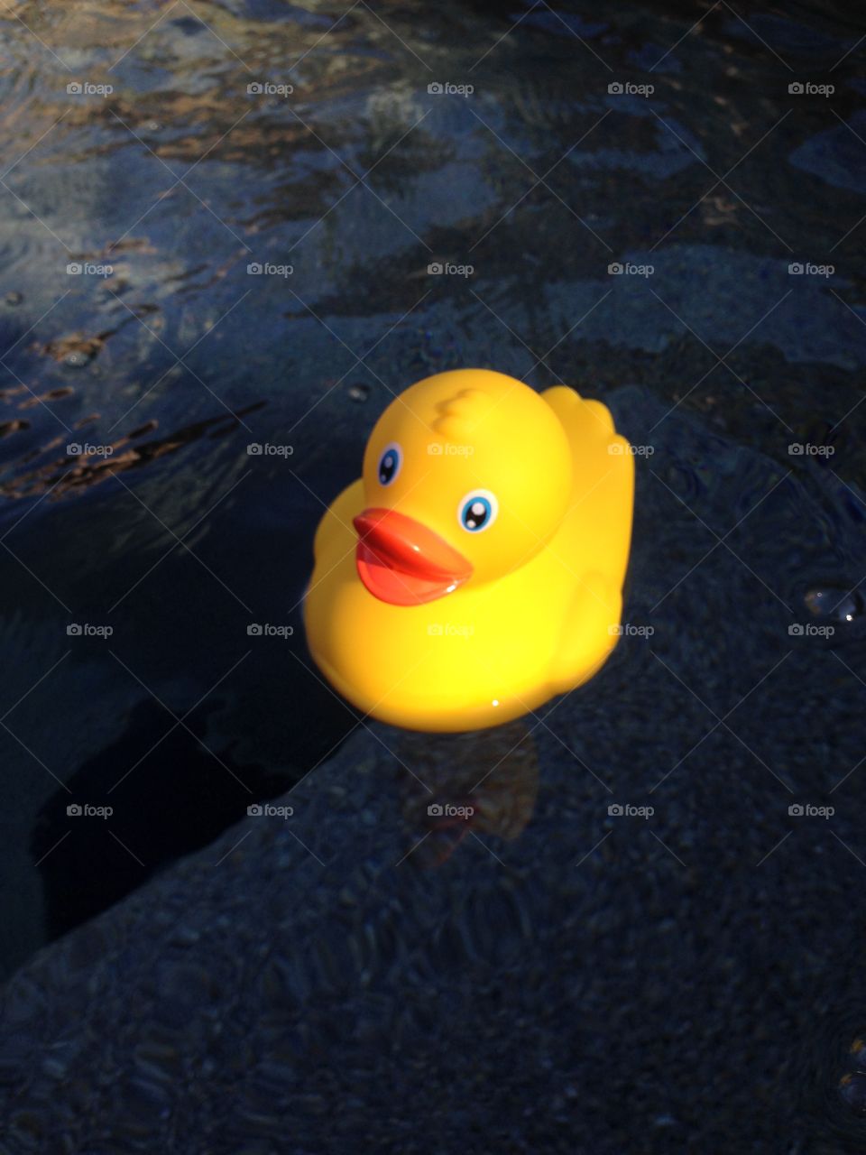 Rubber Duck