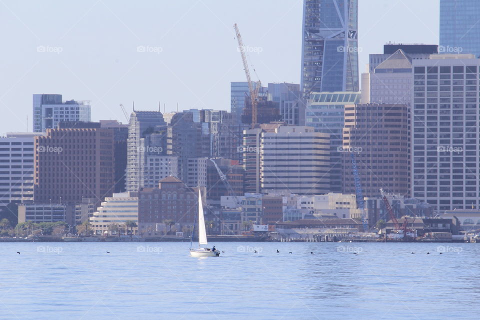 sailboat by the Bay City